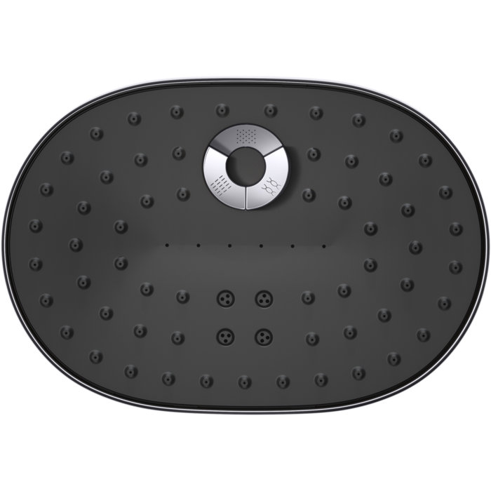 Kohler Statement Gpm Oval Multifunction Showerhead With Katalyst